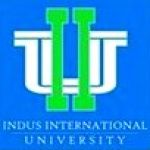 Logotipo de la Indus International University
